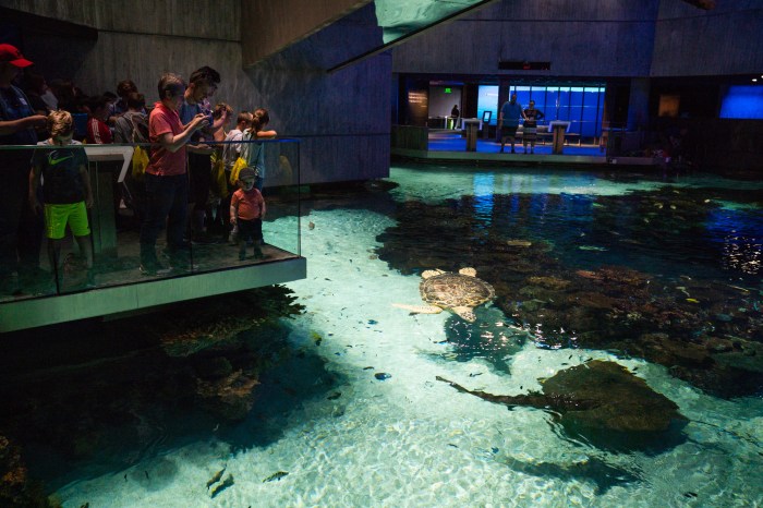 Aquarium baltimore national maryland inner harbor md aquariums shark tank places flickr flickriver biggest great travel fish where dolphins main