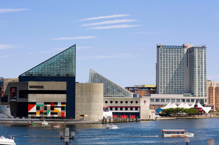 Baltimore aquarium night large